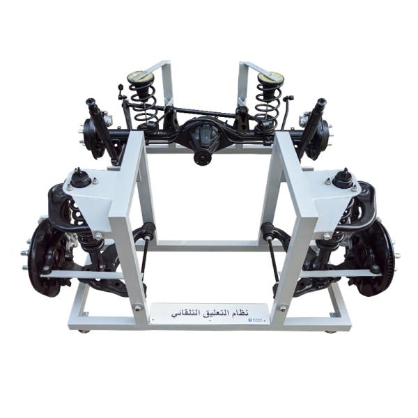 Automotive Suspension System Structure Display Educational  Aids