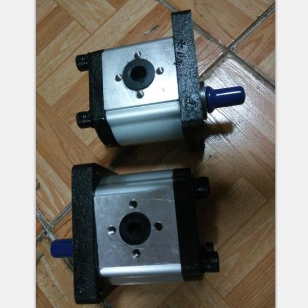 CBN314L hydraulic gear pump for Jinma Foton Dongfeng YTO tractors