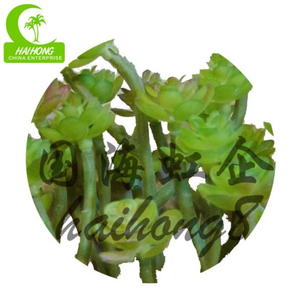 Anti FadingNo que nutre a planta suculento artificial, Mini Fake Succulents 15cm