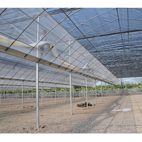 IGreen Industrial Greenhouse Irrigation System Greenhouse For Snail Farming