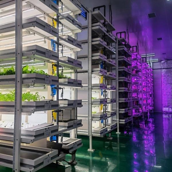Greenhouse Hydroponics Fodder Container Systems Customization for Optimal Performance