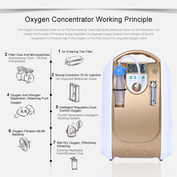 Ce Certified Portable Oxygen Concentrator Hight Purtiy Home Concentrador de Oxigeno Portatil With 2 Year Warranty