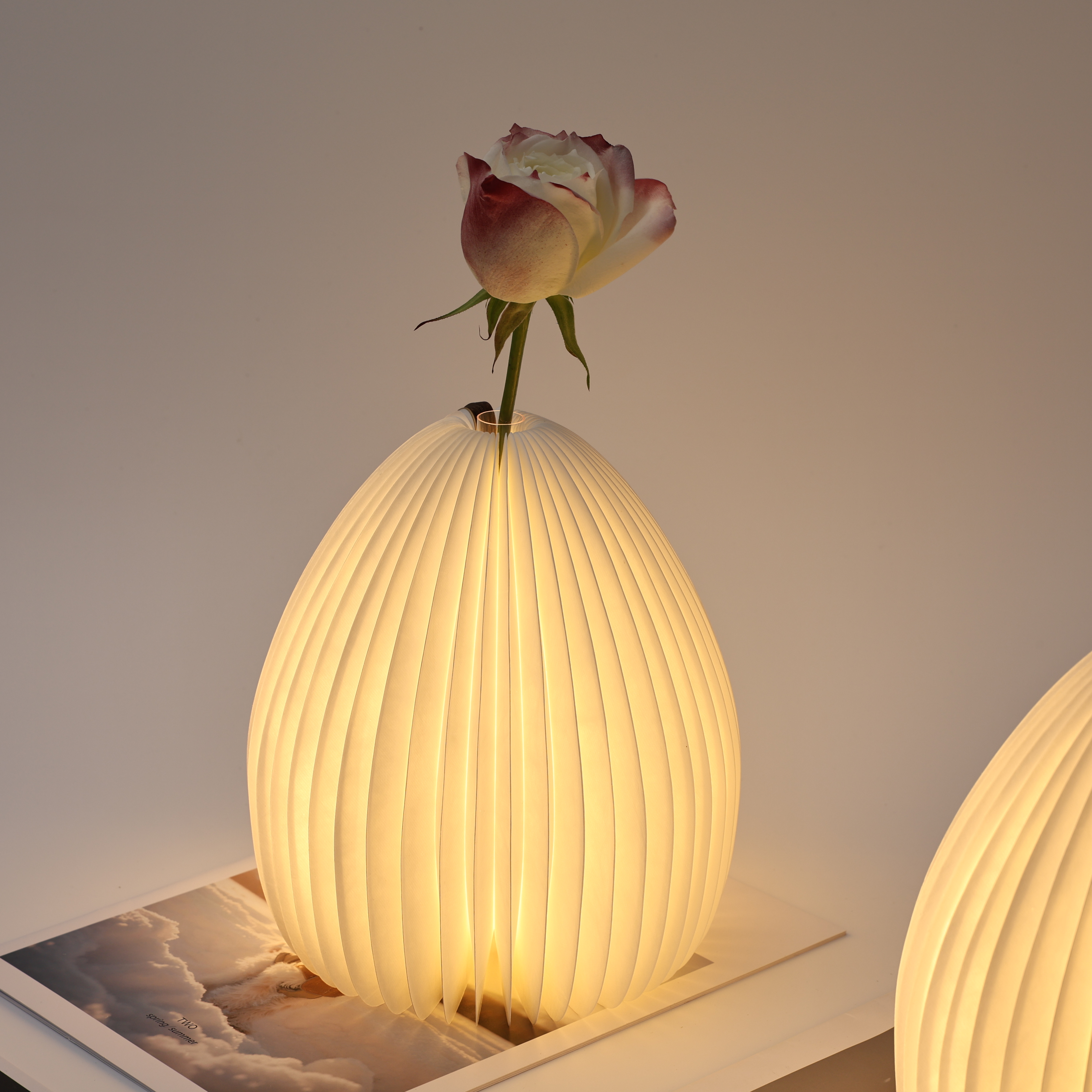 Home Decor Lights Vase Paper Lantern Table Lamp Restaurant Rechargeable Rotating Night Light Folding Flower Valentine's Day Gift