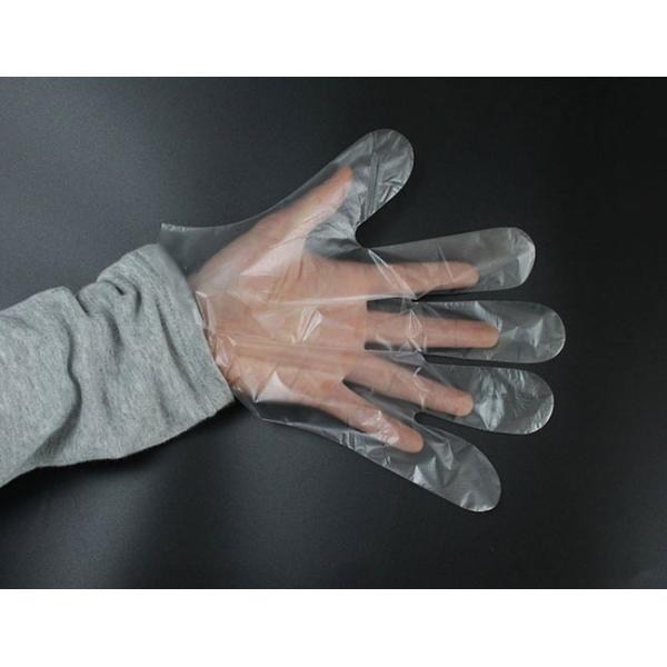 Latex Free Powder Transparent Gloves Suitable For Cooking , Hair Coloring