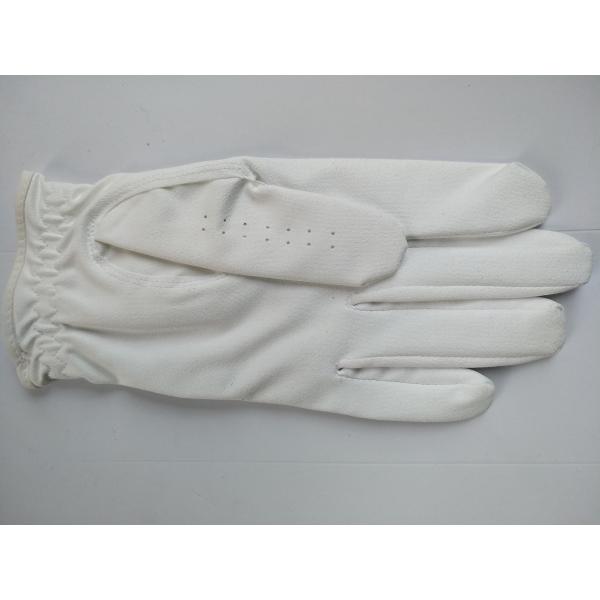 golf glove , golf gloves , glove , gloves