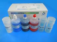 Kit Diff Quik Stain de uso simples para morfologia de espermatozoides 100 ml/kit
