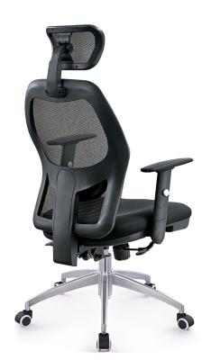 Most Comfortable Ergonomic Mesh Computer Chair , Office Sitting Chairs Stylish