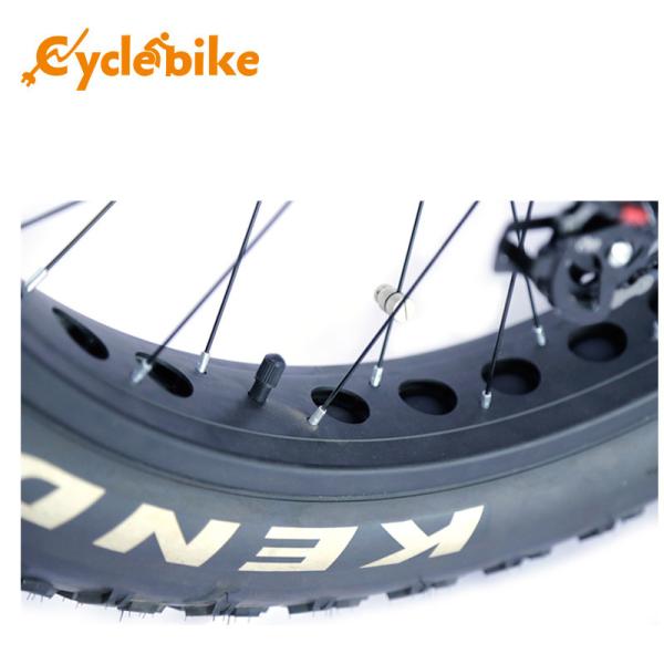 26 Inch 1000w Fat Electric Bicycle Kit 26x4.0 Kenda Tyre High Speed 50km/h