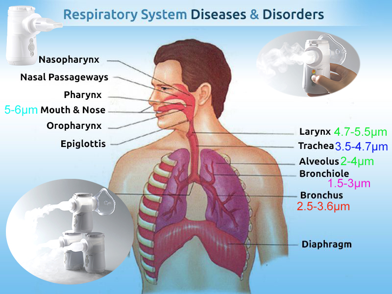 Медицинский Nebulizer астмы дома Nebulizer IP24 сетки ингалятора портативной машинки 3.03μm