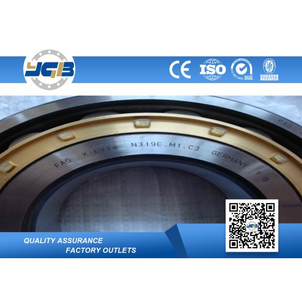 N313 N315 N318 N319 ECM Single Row Cylindrical Roller Bearing Low Friction Coefficient