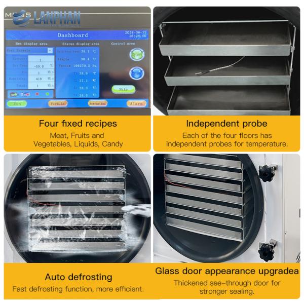 Home Food Freeze Dryer 7 Trays 2.5m2 Large Size Vacuum Home Freeze Dryer with Oil Pump