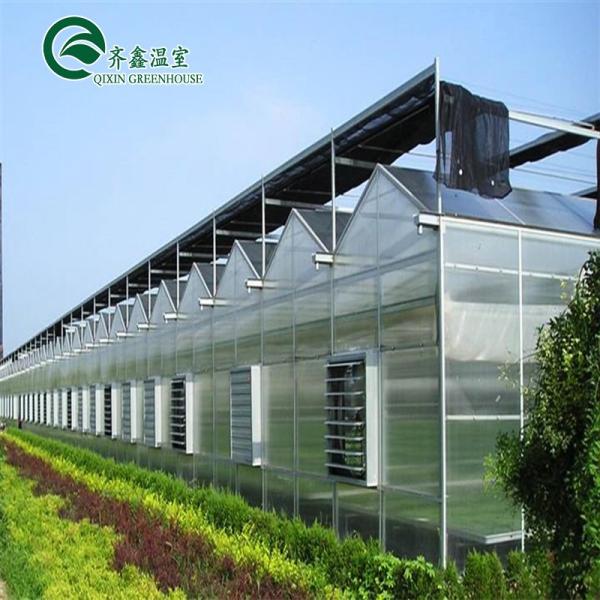 Large Steel Greenhouse Structure Shed Design With 150/200micro PE Film Covering