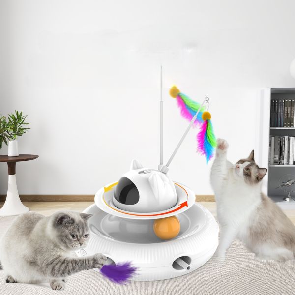 Dog Sports Competition Training Guide GPS Tracking Agility Training