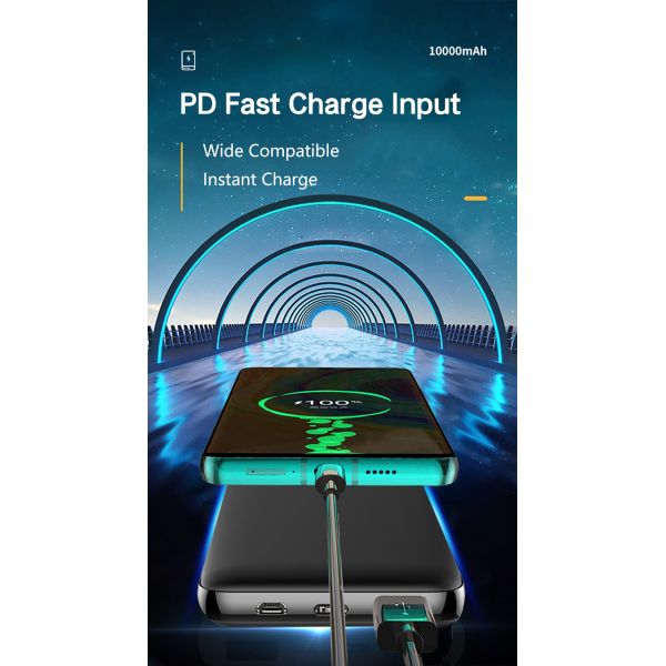 Type C USB Port Portable Power Bank OEM Logo Mobile Charging 10000mAh