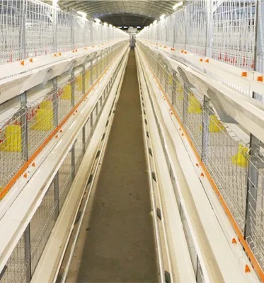 Closed Broiler Farming House with Prefabricated Components Mesh Windows for Airflow and Carbon Structural Steel