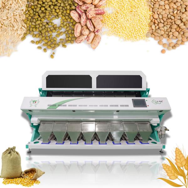 Wenyao High Sorting Accuracy  Pine Nuts Color Sorter Machine Pistachios Sorting Machine