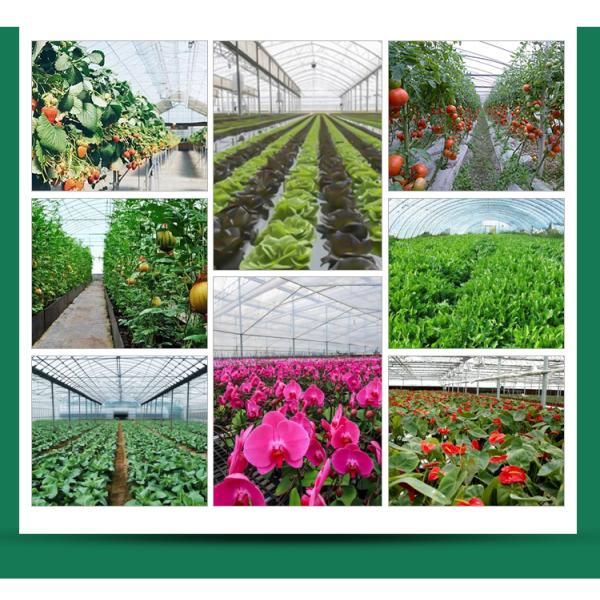 Высокопроизводительная привлекательная одноразовая теплица с стабильной структурой