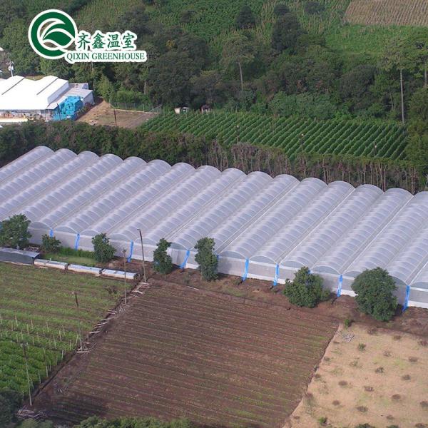 Complete Hydroponic Grow Tent for Indoor Growing of Vegetables Fruits Flowers and Tomatoes