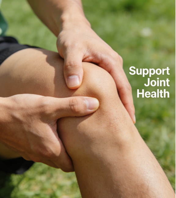 High Purity Chondroitin Sulfate Powder Supports Joint Flexibility Reduces Discomfort Food Grade