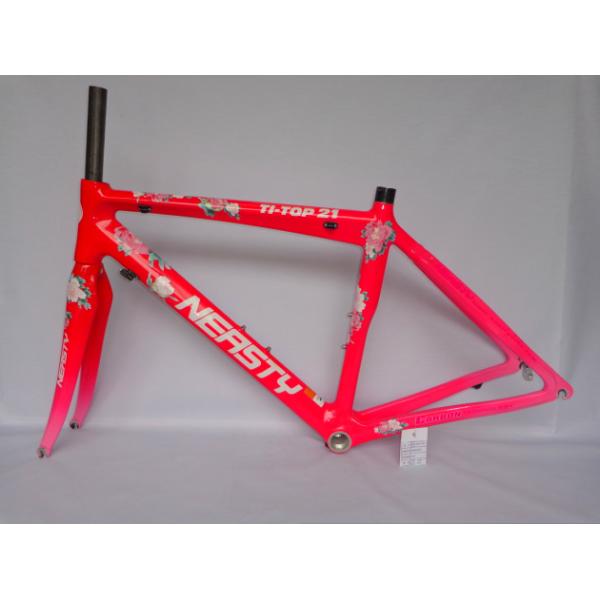 RB-NT11 carbon frame 48CM road bike frame with decal peony flower (pink)