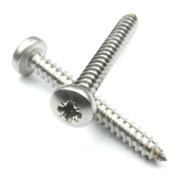 Нержавеющие материальные нештатные подгонянные винты собственной личности собственной личности выстукивая сверля