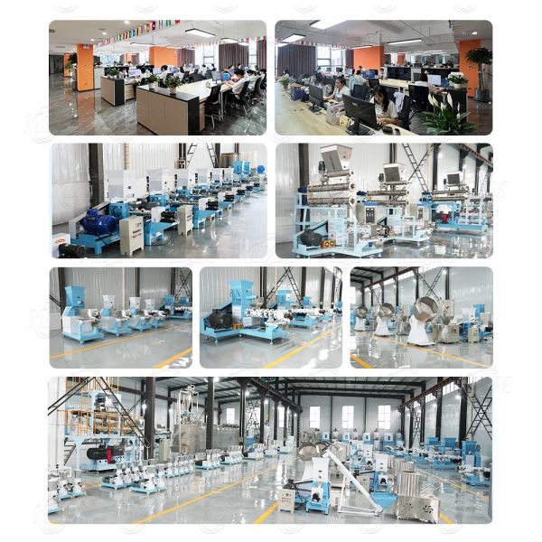 Fish Feed Production Line | Floating Fish Feed Pellet Making Machine | Small Sinking Shrimp Feed Extruder Machine