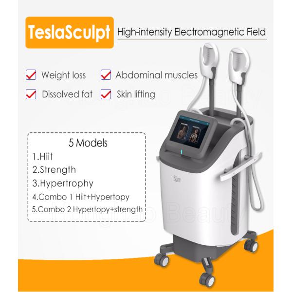 Тело 2.3KVA уменьшая стимулятор мышцы 220v 300µS EMS