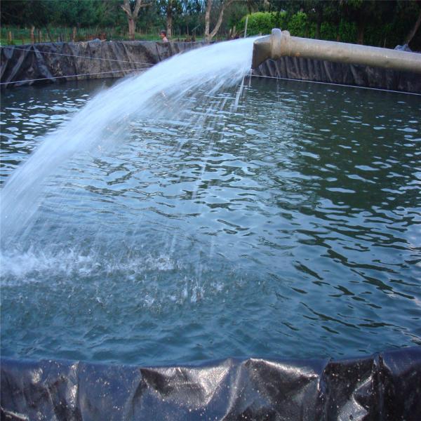 Geomembrana de impermeabilização branca 0,5 mm 1 mm Peixe Peixe Peixe Peixe Peixe Peixe Peixe Peixe