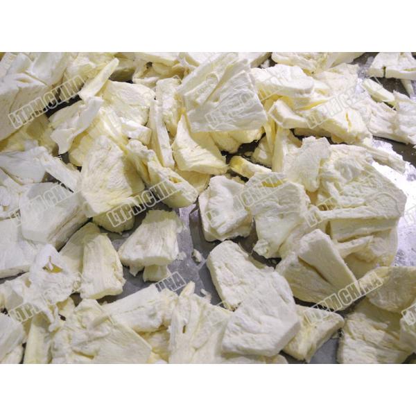 LTDG-1Y New Type Vacuum Freeze Drying Machine for fruit and vegetable