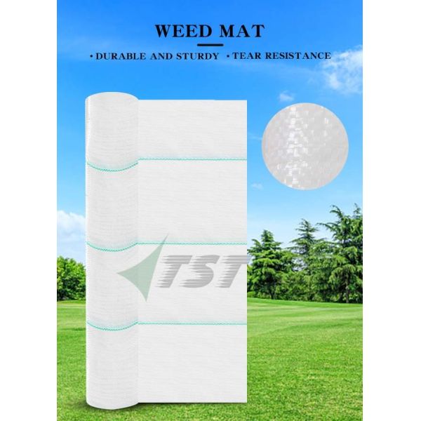 110GSM White Color Anti UV Pp Woven Weed Mat Ground Cover For Greenhouse Agriculture