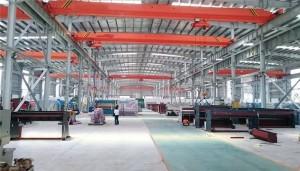 Electric Single Girder Overhead Crane 8 m/Min