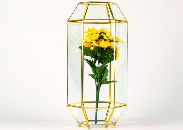 Polyhedral glass greenhouse cover plant European dust cover window display geometric glass decoration box