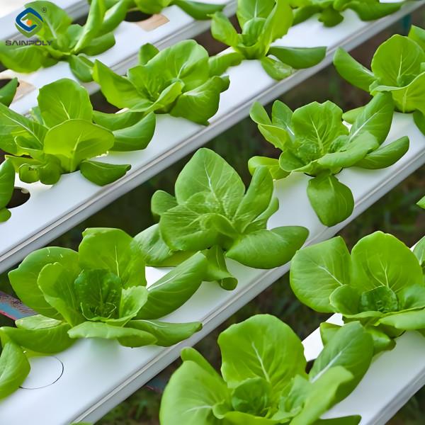 PVC Gutter Soilless Culture Hydroponic Lettuce Greenhouse Anti Corrosion