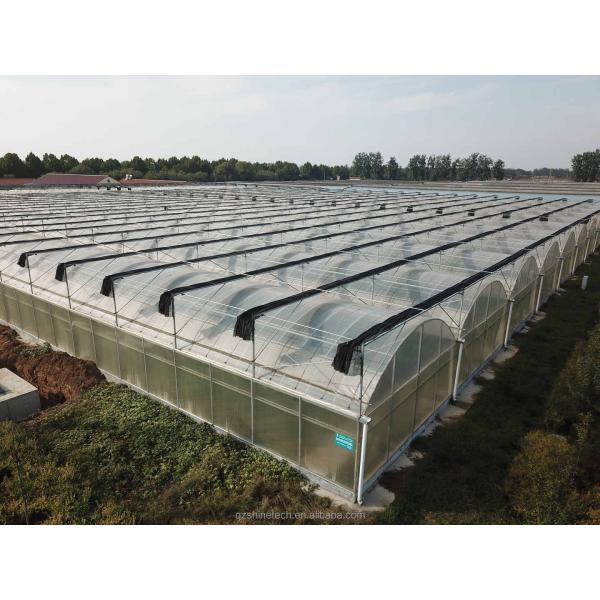 Commercial Multi Span Film Greenhouse with External Sunshade System and 4m Bay Width