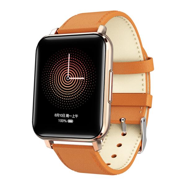 Colorful TFT Business Movement Smartwatch , RTL8762C 1.69 Inch Smart Watch