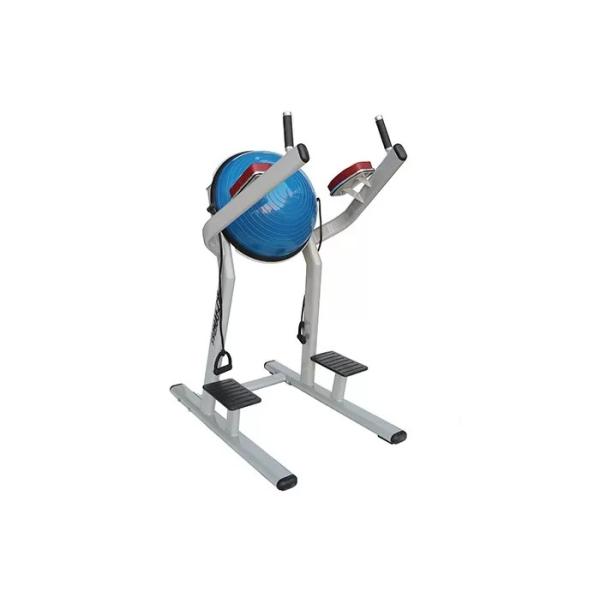 Lifetime Fitness Workout Equipment / Chin Dip Leg Raise With Bosu Ball Machine