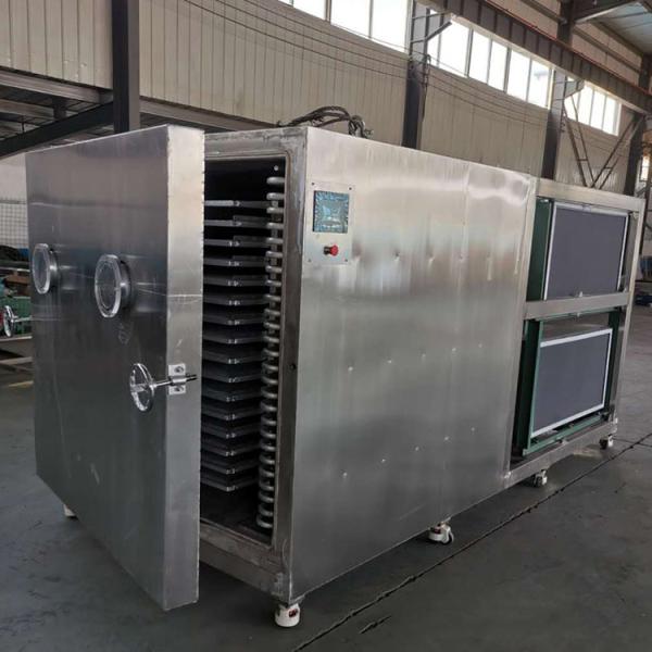 máquina farmacéutica de la liofilización de la fruta del PLC de los secadores 15kg/Batch