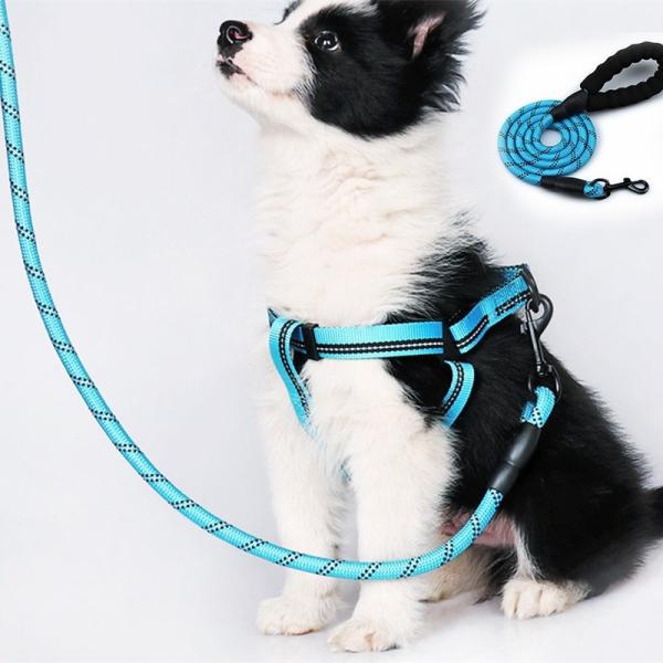 5ft Reflective Rope Dog Leash 150cm 200cm Reflective Leash For Small Dogs
