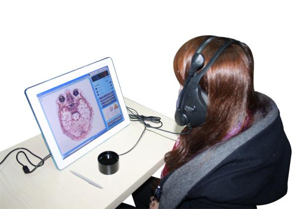 Latest New Arrival Touch Screen 3D cell(nls) health analyzer