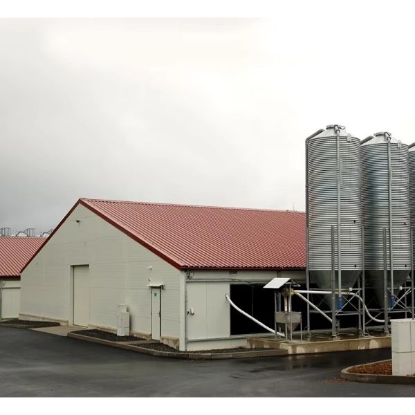 Durable Q235 Steel Structure Chicken House With Eco-Friendly Weather-Resistant Design
