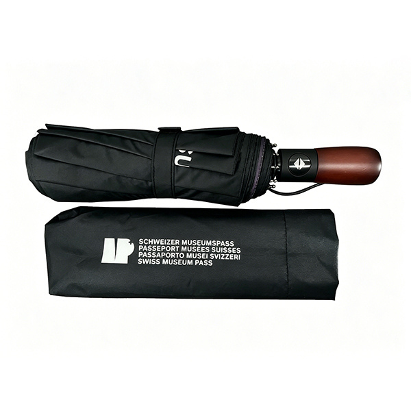 Custom Printed Logo Umbrellas Auto Foldable Umbrella