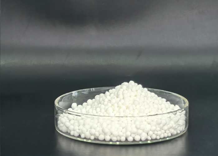 Bio Custom Fertilizer Enhance Root Activity Improve Absorption
