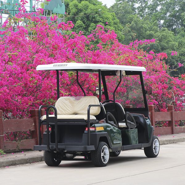 4+2 Seats Electric Golf Cart 48V/350A With Curtis Controller