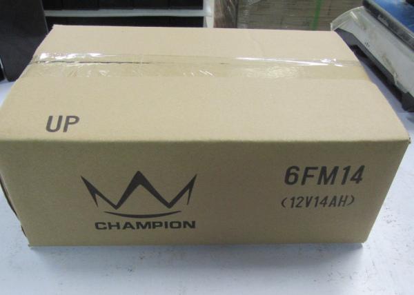 12V 14AH Agm Marine Deep Cycle Battery / Lead Rechargeable Battery