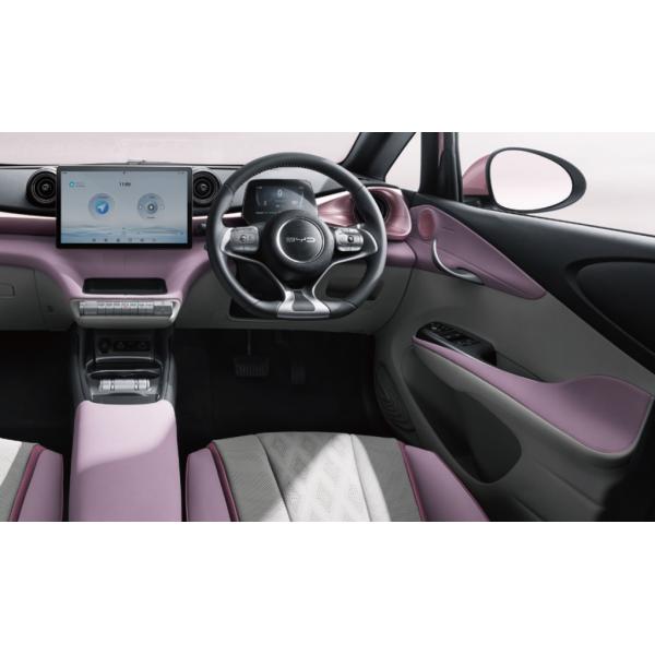 Travel Right Hand Drive Vehicles BYD Dolphin Hatchback Car