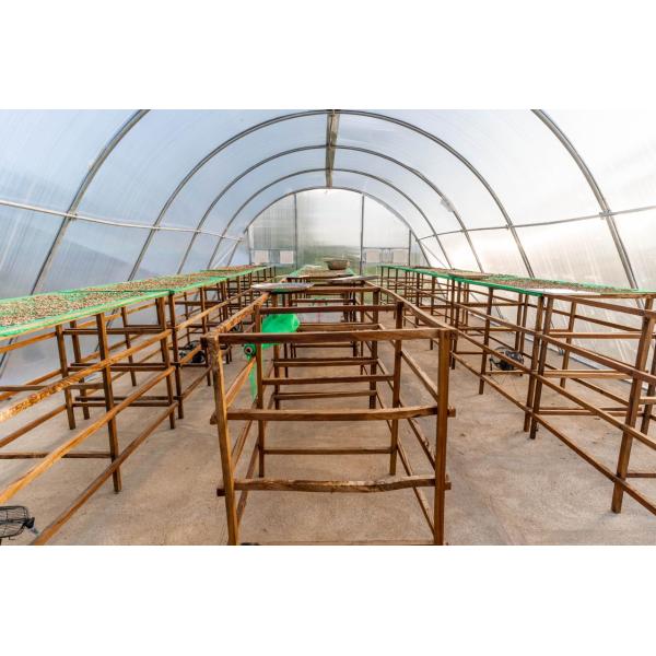 Drying Greenhouse with UV Protection and Ventilation for Herbs Vegetables and Fruits