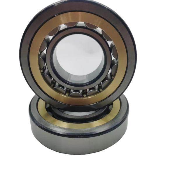 OEM Seals Type Cylindrical Roller Bearing N204 N204m for Car Gearbox 20X47x14 Structure