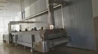 Fruta y verdura industrial líquida de la máquina de congelación rápida del nitrógeno IQF aprisa que congela