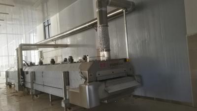 Frutas e legumes industriais líquidas da máquina de congelação rápida do nitrogênio IQF que congelam-se rapidamente