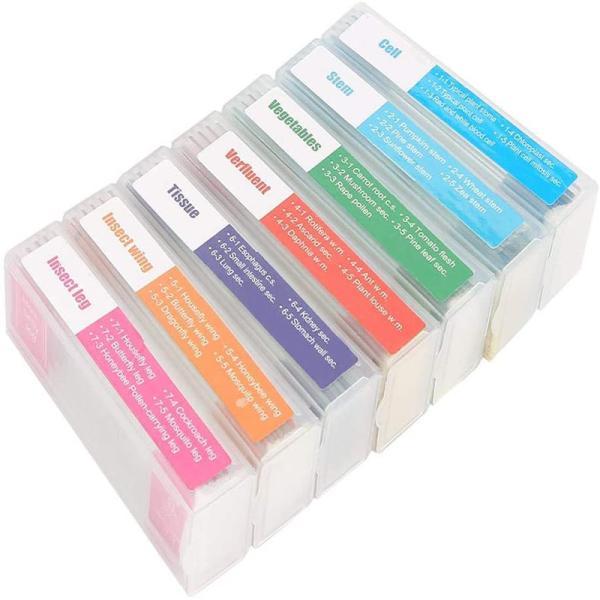 35pcs Box set of Prepared Glass Microscope Slides on Animals Insects Plants Flowers for Children education
